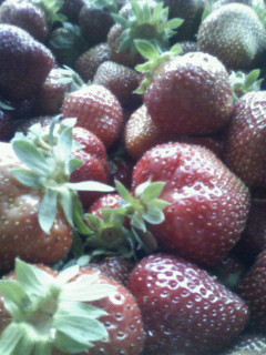 200805311115000.jpg