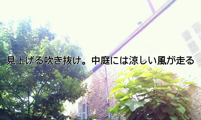 20090601093631.jpg