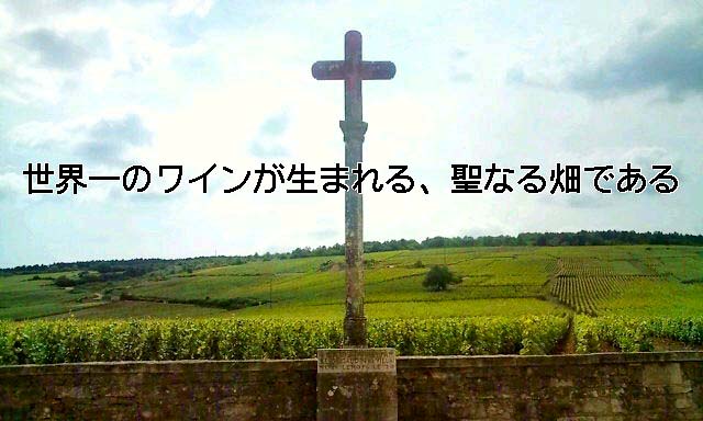 20090601160112.jpg