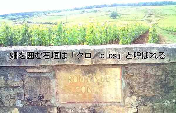 20090601160142.jpg