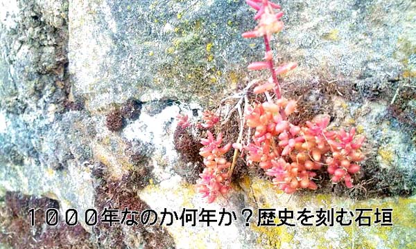 20090601160336.jpg