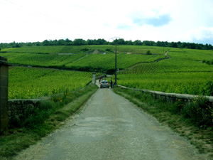 IMG_93861.jpg