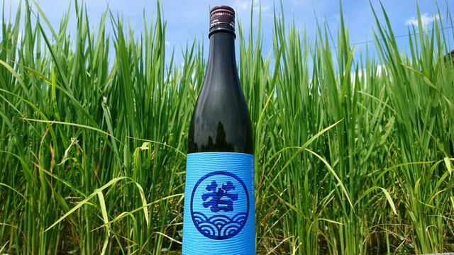 _20170916_155558.JPG